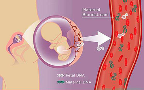 滁州助孕男孩网-能否准确预测男孩或女孩的出生？(图1)
