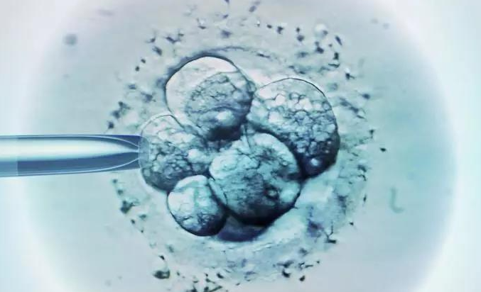 南阳二代供卵中介-试管婴儿的精子筛查，第一代技术可以优化精子质量。